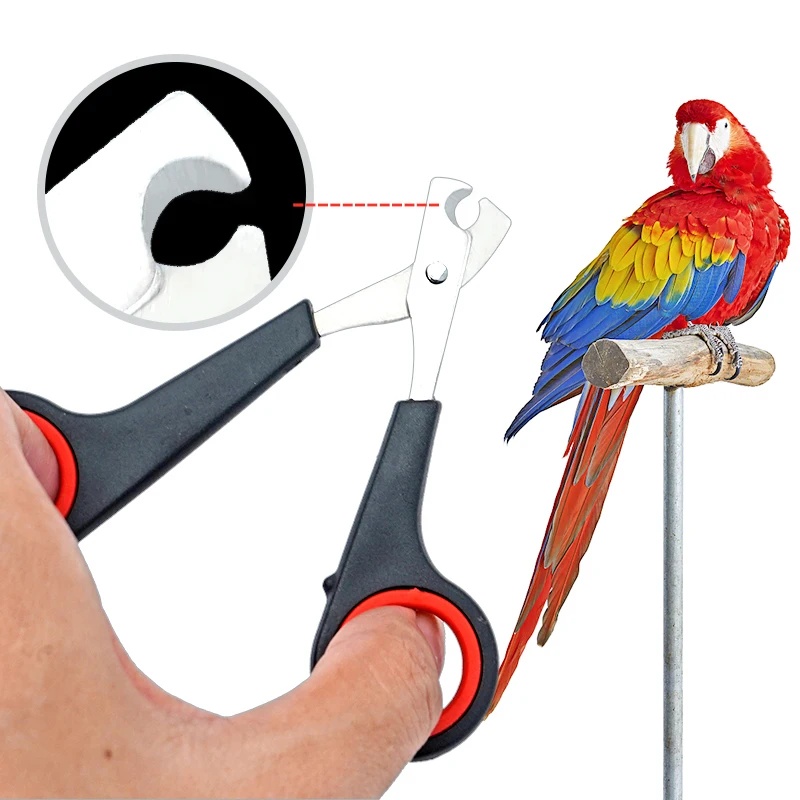 Dog Grooming Clippers - 12cm Pet Parrot Nail Scissor Dog
