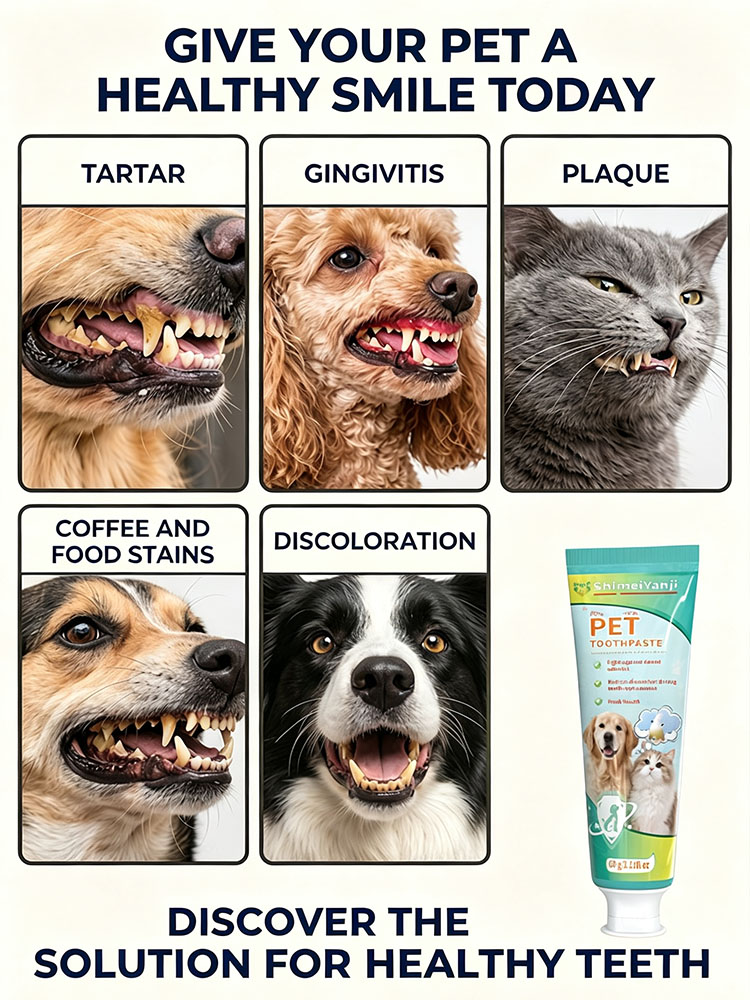 POZOAMIS Pet Teeth Cleaning To - Pet Supplies Young recension och pris
