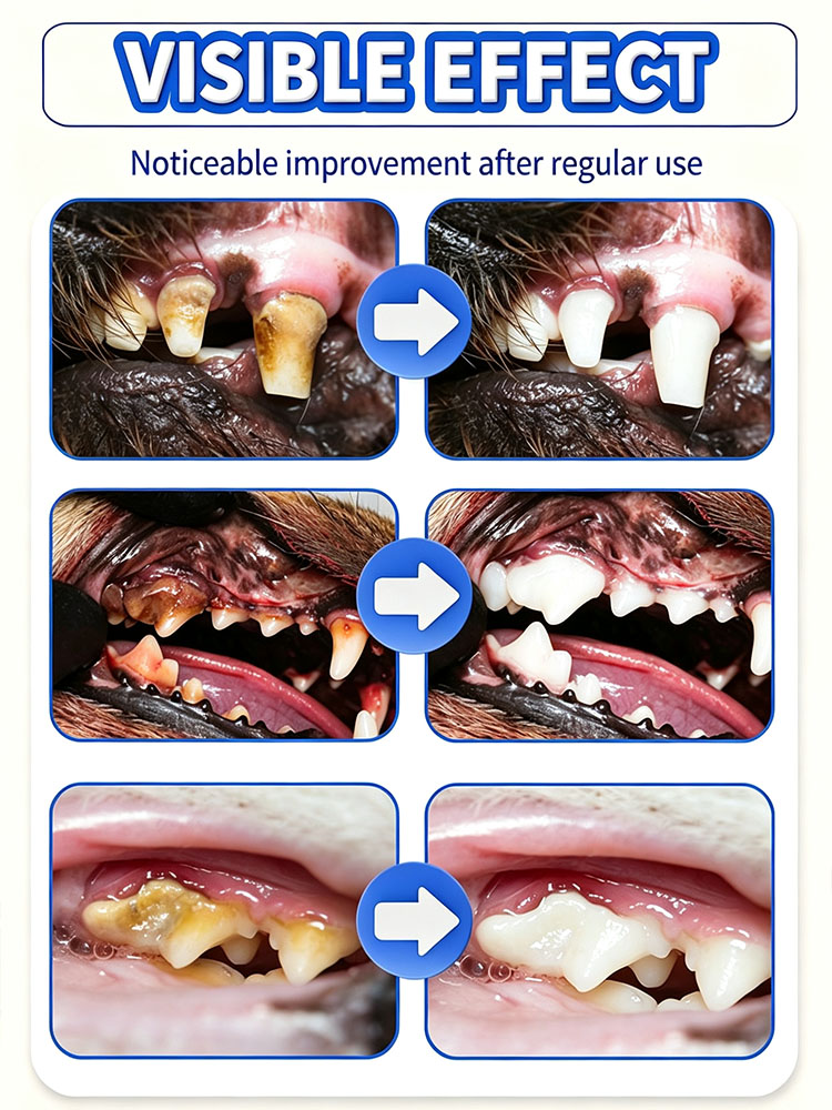 POZOAMIS Pet Teeth Cleaning To - Pet Supplies Young recension och pris