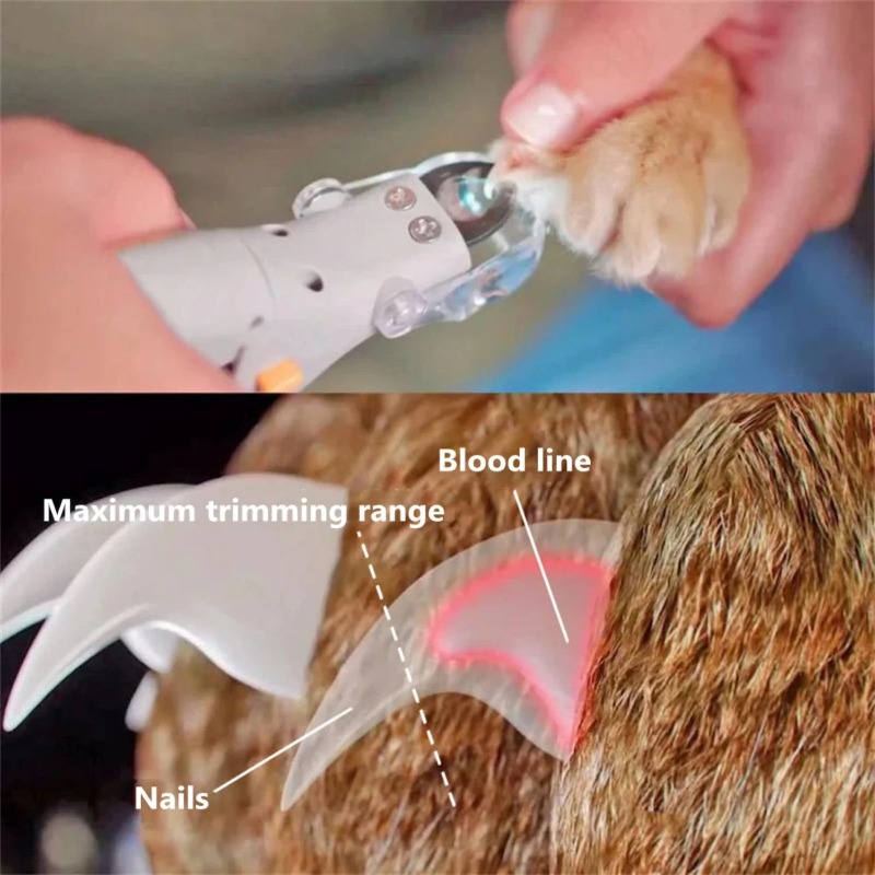 1PC Pet Nail Clipper with LED  - Dog Grooming Clippers recension och pris