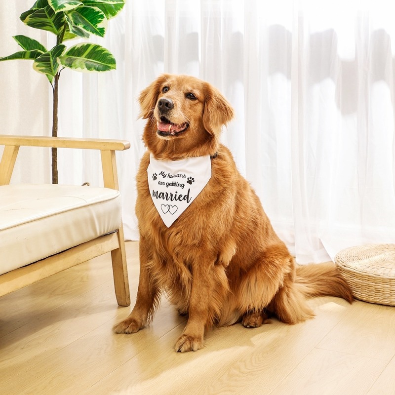 Fashion Dog Bandanas Dog Saliv - Dog Bandana Scarf recension och pris