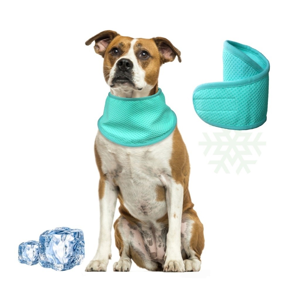 New Adjustable Dog Cooling Ban - Dog Bandana Scarf recension och pris