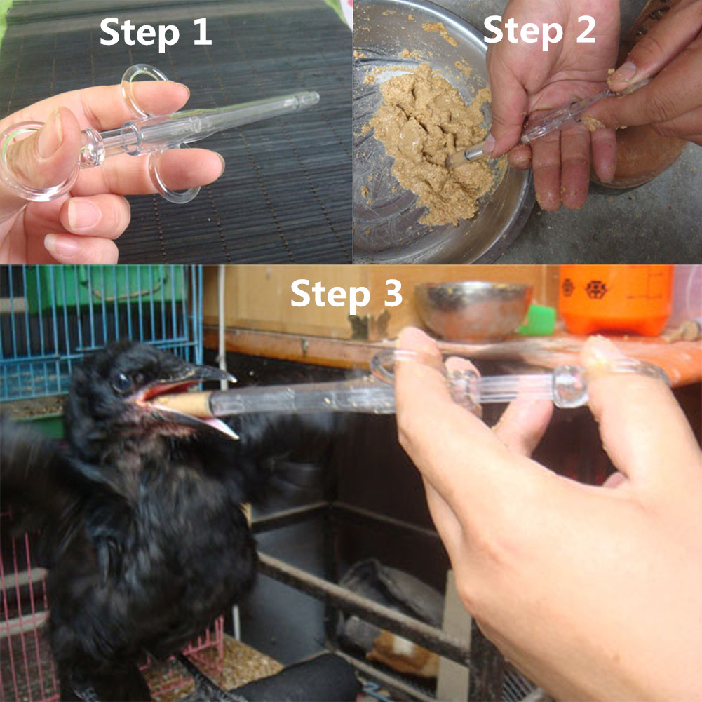 Baby Bird Feeding Syringe Parr - Pet Supplies Young recension och pris