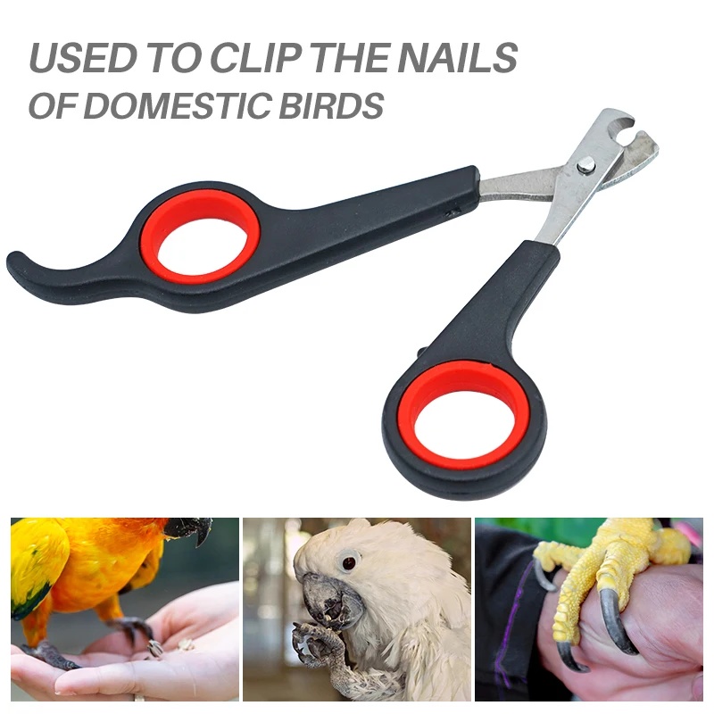 12cm Pet Parrot Nail Scissor D - Dog Grooming Clippers recension och pris