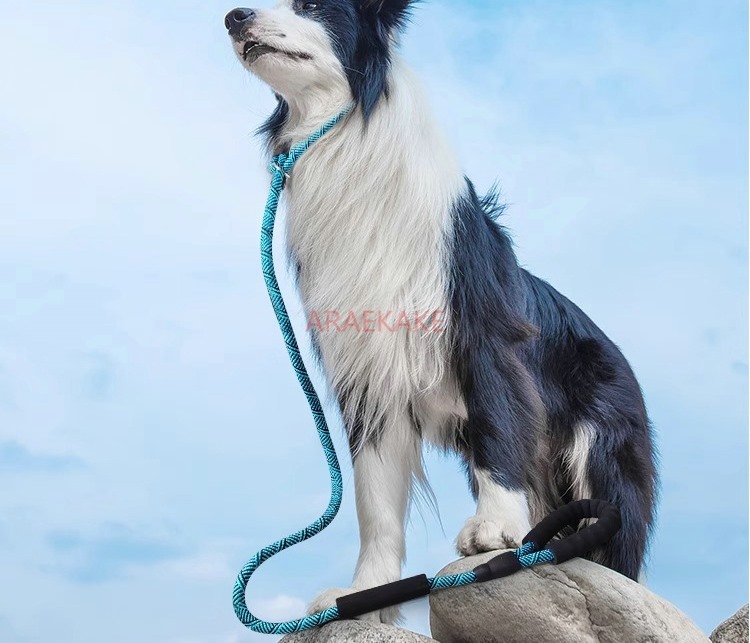 P rope explosion-proof walking - Pet Supplies Young recension och pris