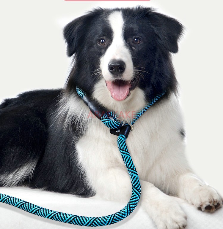 P rope explosion-proof walking - Pet Supplies Young recension och pris