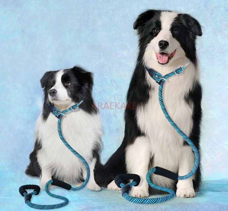 P rope explosion-proof walking - Pet Supplies Young recension och pris