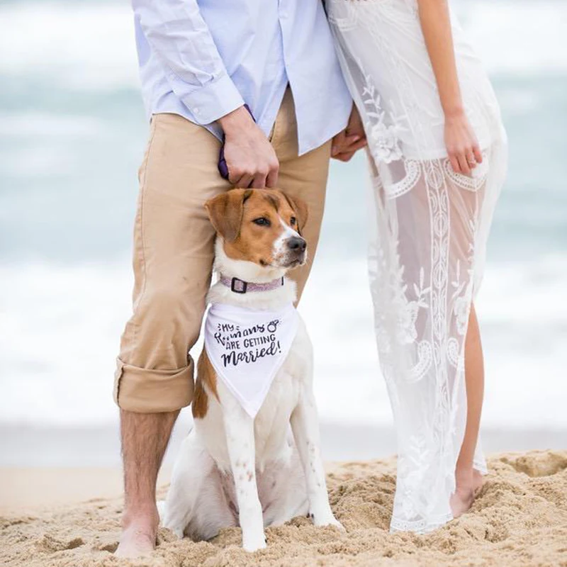 My Humans are Getting Married  - Dog Bandana Scarf recension och pris