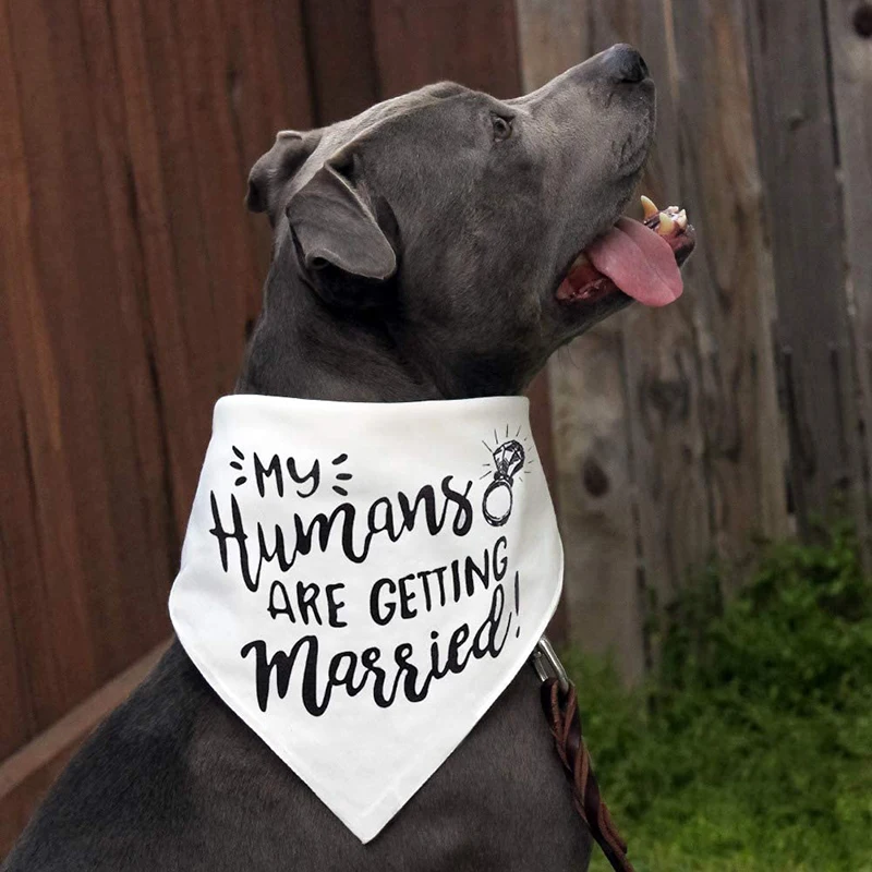 My Humans are Getting Married  - Dog Bandana Scarf recension och pris