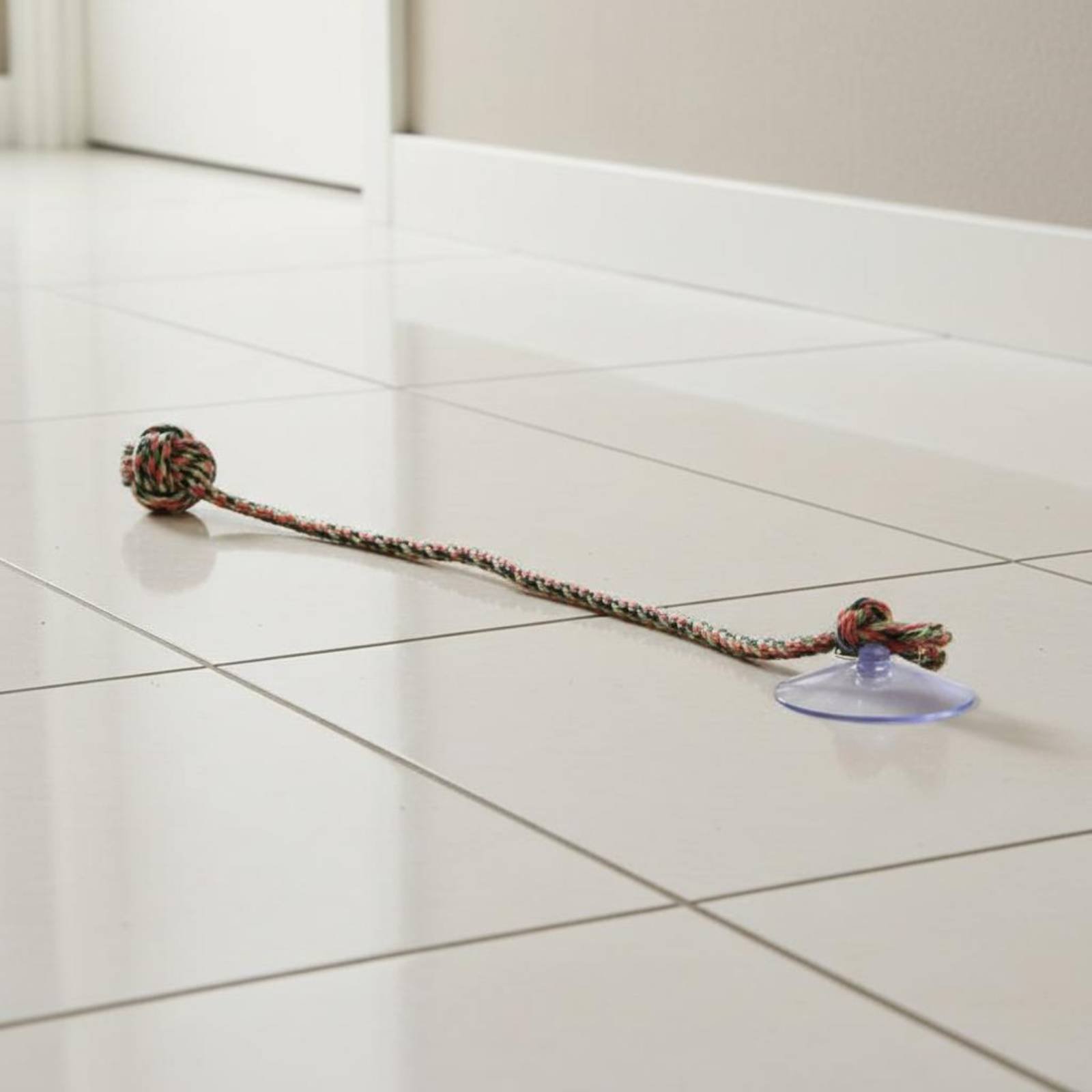 Suction Disc Dog Toy Gnaw Resi - Pet Supplies Young recension och pris