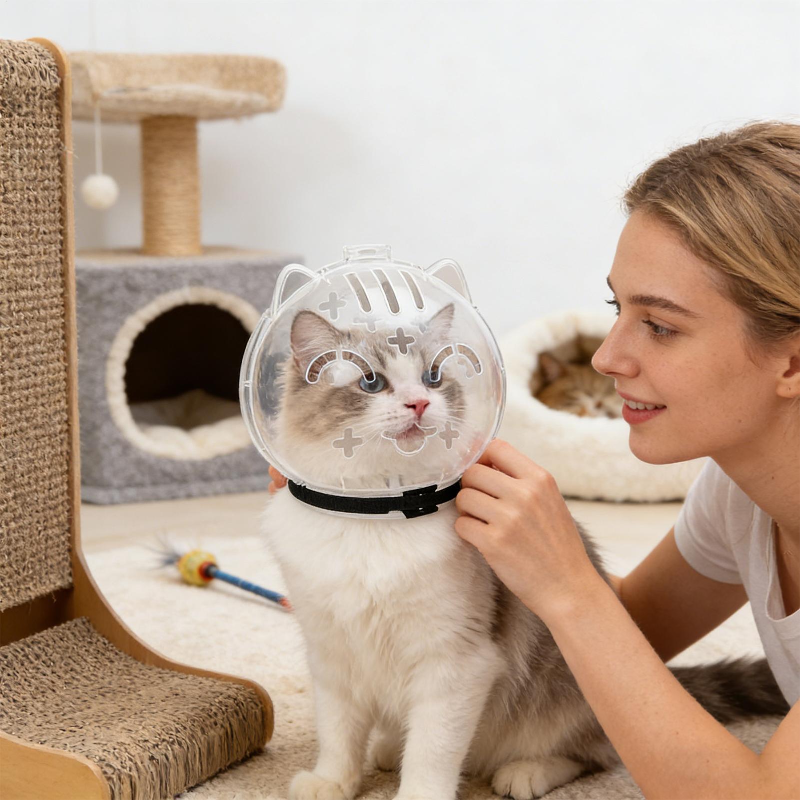 Breathable Cat Muzzle Transpar - Pet Supplies Young recension och pris
