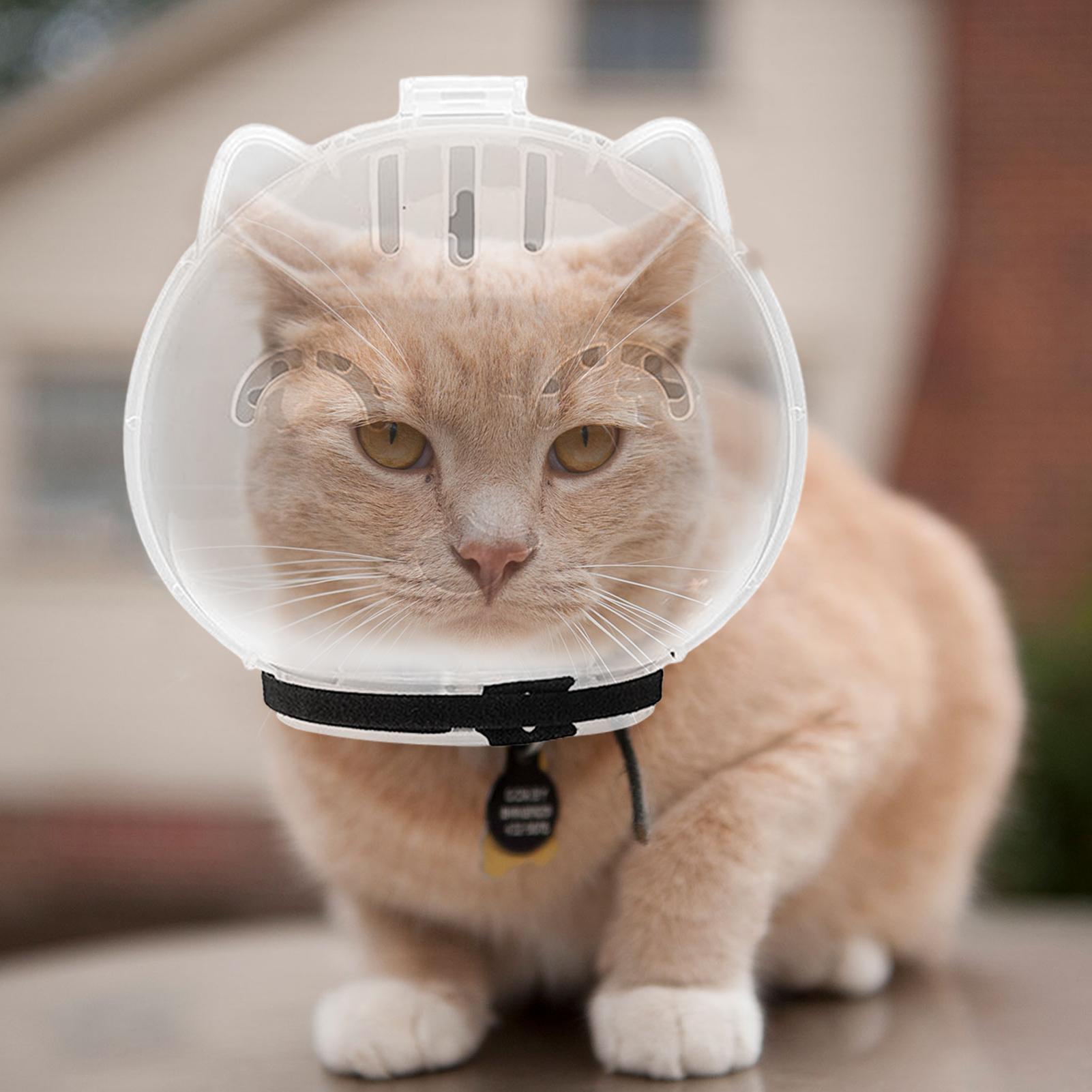 Breathable Cat Muzzle Transpar - Pet Supplies Young recension och pris